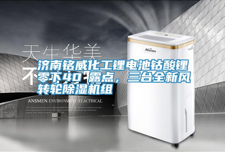 濟南銘威化工鋰電池鈷酸鋰零下40℃露點，三臺全新風轉輪除濕機組