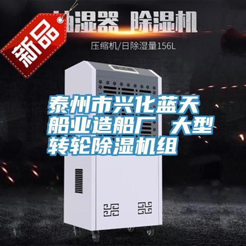 泰州市興化藍(lán)天船業(yè)造船廠 大型轉(zhuǎn)輪除濕機組
