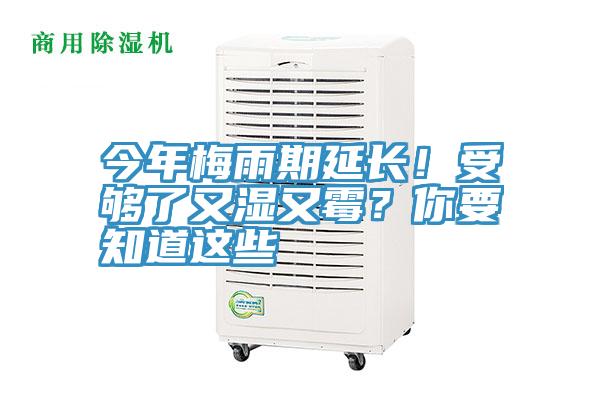 今年梅雨期延長！受夠了又濕又霉？你要知道這些