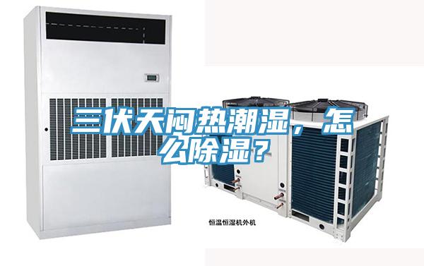 三伏天悶熱潮濕，怎么除濕？