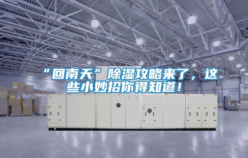 “回南天”除濕攻略來了，這些小妙招你得知道！