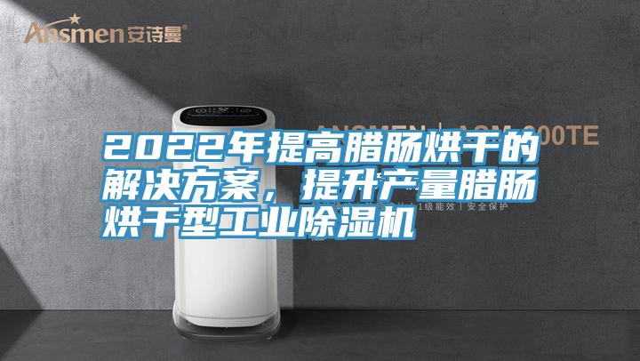2022年提高臘腸烘干的解決方案，提升產量臘腸烘干型工業(yè)除濕機