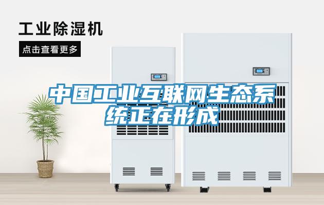 中國工業(yè)互聯(lián)網生態(tài)系統(tǒng)正在形成