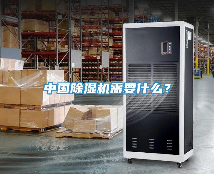 中國除濕機需要什么？