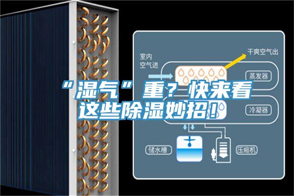 “濕氣”重？快來看這些除濕妙招！