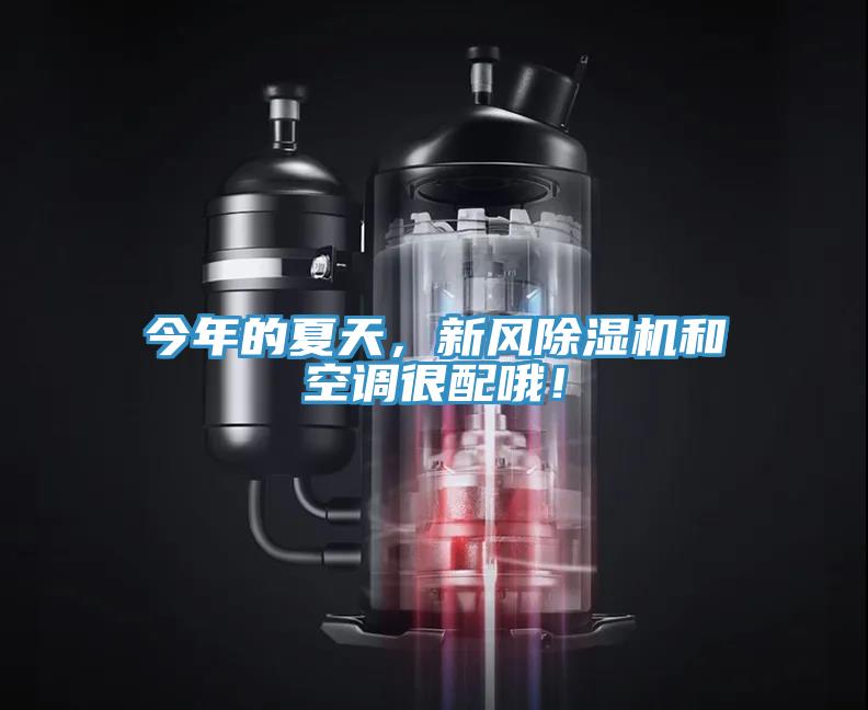 今年的夏天，新風(fēng)除濕機(jī)和空調(diào)很配哦！