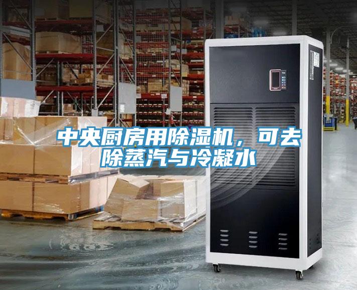 中央廚房用除濕機(jī)，可去除蒸汽與冷凝水