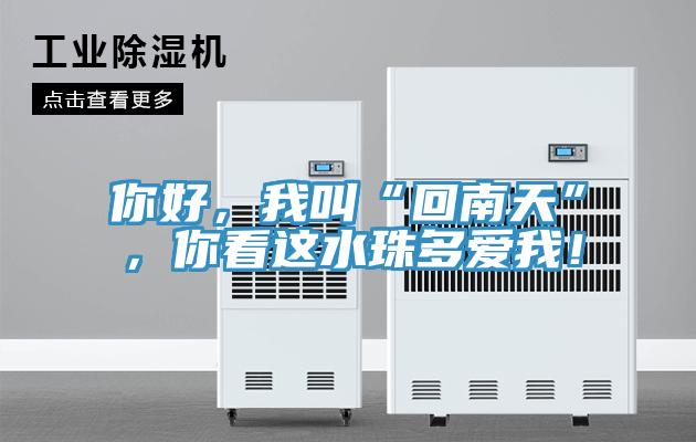你好，我叫“回南天”，你看這水珠多愛我！