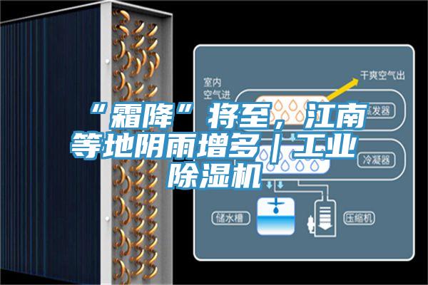 “霜降”將至，江南等地陰雨增多｜工業(yè)除濕機(jī)