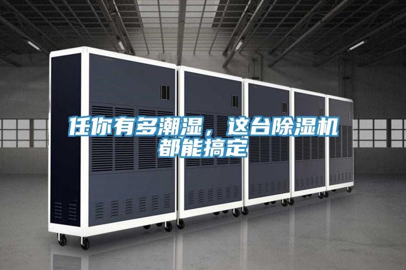 任你有多潮濕，這臺(tái)除濕機(jī)都能搞定