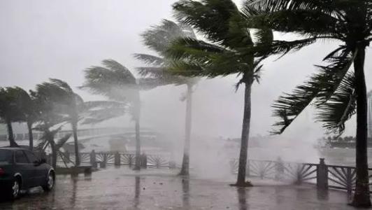 8月臺(tái)風(fēng)雨即將來，除濕機(jī)還得用起來
