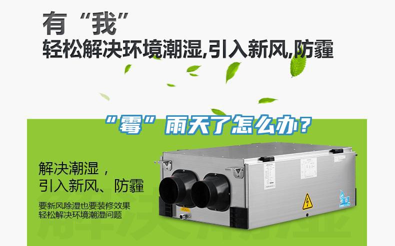 “霉”雨天了怎么辦？