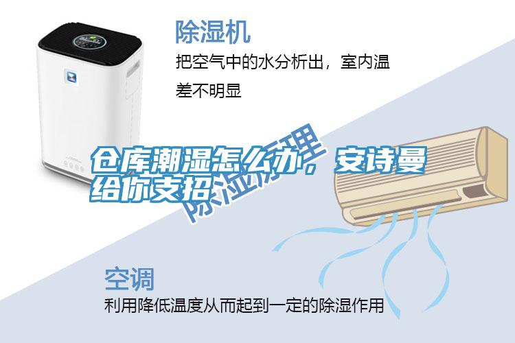 倉(cāng)庫(kù)潮濕怎么辦，安詩(shī)曼給你支招