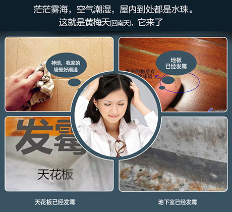 家庭別墅的地下室、衛(wèi)生間、儲物室等該如何除濕？