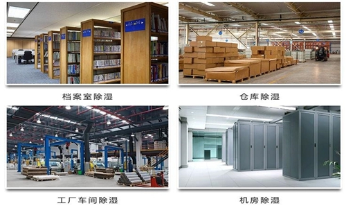 為什么竹筍烘干房需要除濕機？