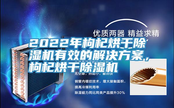 2022年枸杞烘干除濕機有效的解決方案，枸杞烘干除濕機