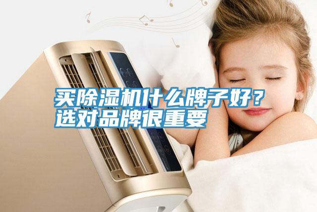 買除濕機(jī)什么牌子好？選對(duì)品牌很重要