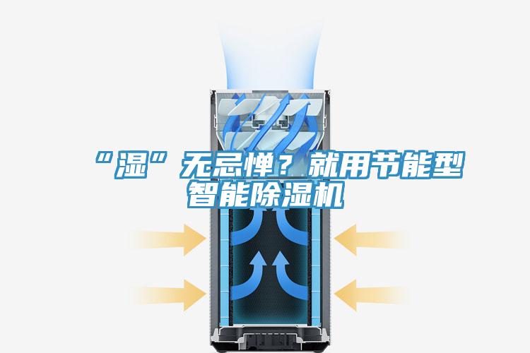 “濕”無忌憚？就用節(jié)能型智能除濕機