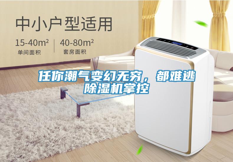 任你潮氣變幻無窮，都難逃除濕機(jī)掌控