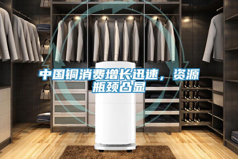 中國銅消費增長迅速，資源瓶頸凸顯
