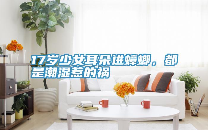 17歲少女耳朵進(jìn)蟑螂，都是潮濕惹的禍