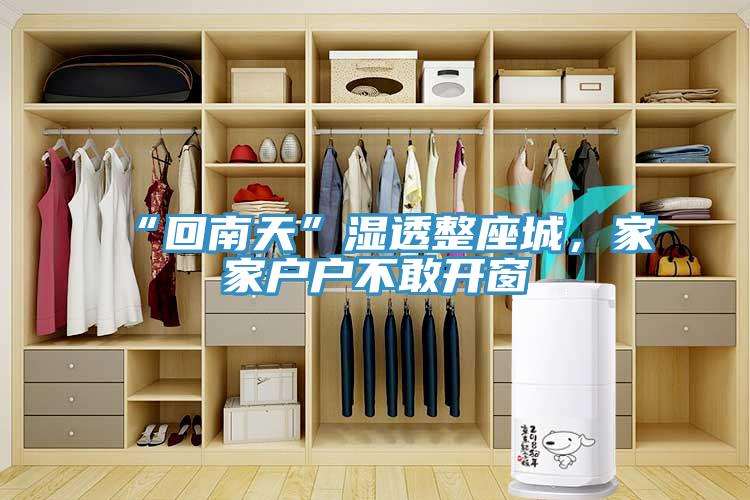 “回南天”濕透整座城，家家戶戶不敢開窗