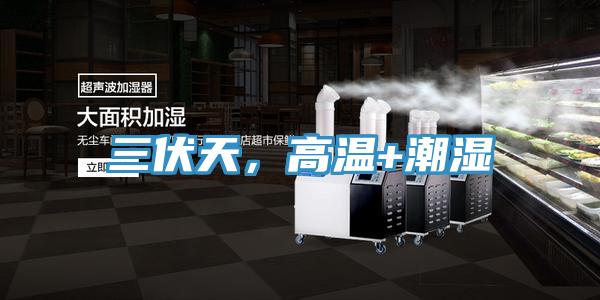 三伏天，高溫+潮濕