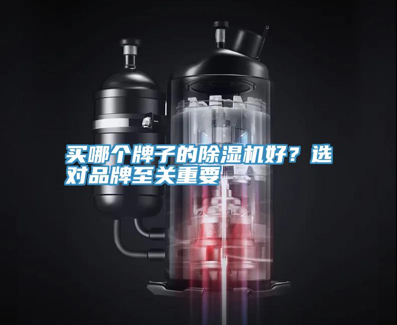 買哪個(gè)牌子的除濕機(jī)好？選對品牌至關(guān)重要