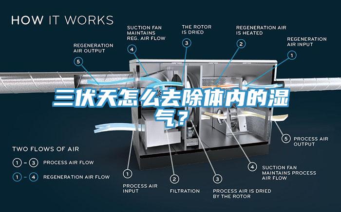 三伏天怎么去除體內的濕氣？