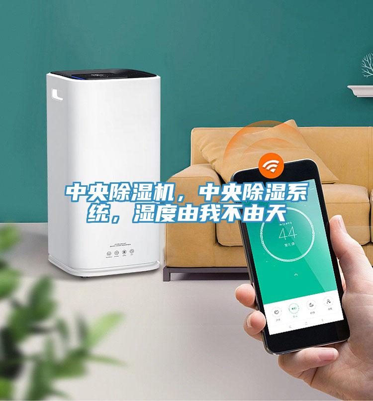 中央除濕機，中央除濕系統(tǒng)，濕度由我不由天