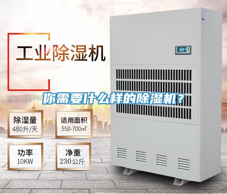 你需要什么樣的除濕機(jī)？