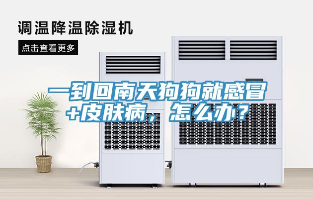 一到回南天狗狗就感冒+皮膚病，怎么辦？