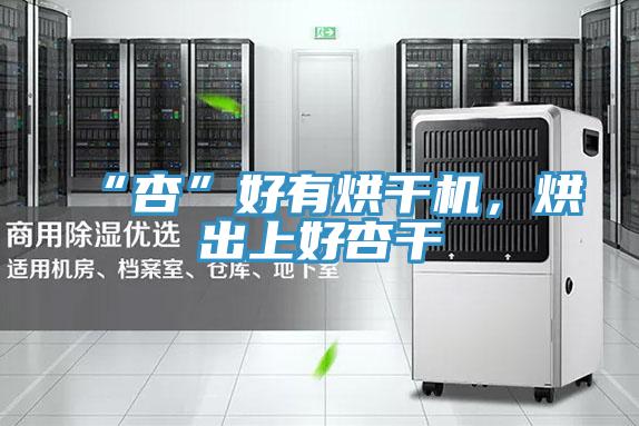 “杏”好有烘干機，烘出上好杏干