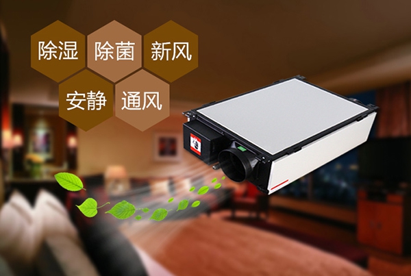 為什么冷庫除濕機會出現結霜的情況？