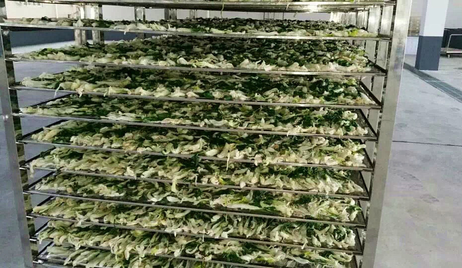 菜干需求一直都很大，蔬菜烘干機很有市場