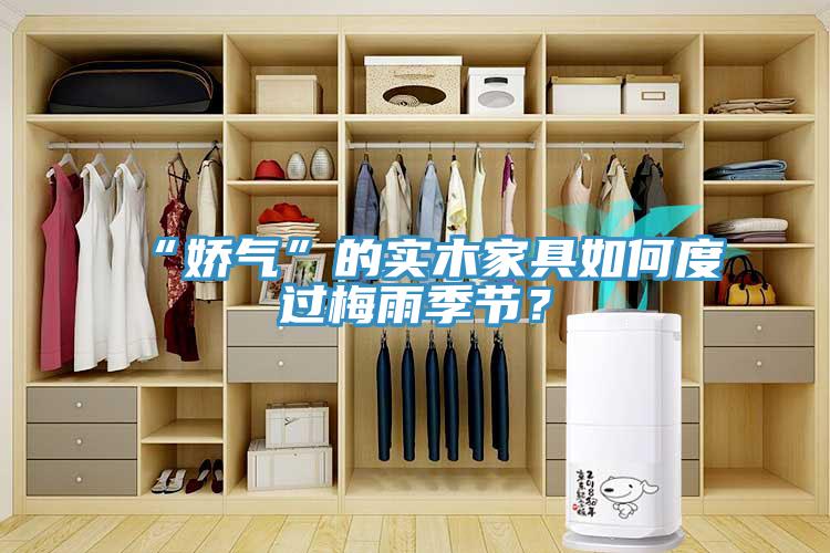 “嬌氣”的實木家具如何度過梅雨季節(jié)？
