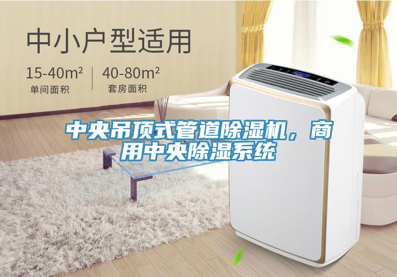中央吊頂式管道除濕機(jī)，商用中央除濕系統(tǒng)