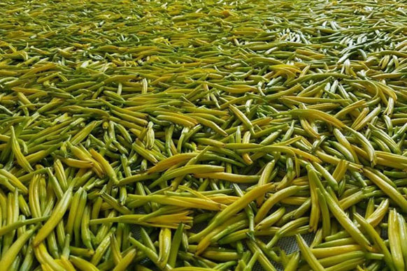 無硫金針菜烘干如何保持品相？不發(fā)黑？_除濕機(jī)廠家
