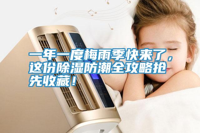一年一度梅雨季快來了，這份除濕防潮全攻略搶先收藏！