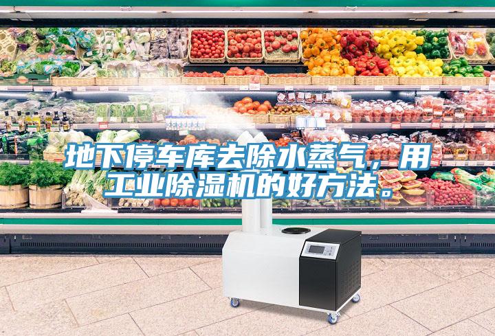 地下停車庫去除水蒸氣，用工業(yè)除濕機的好方法。