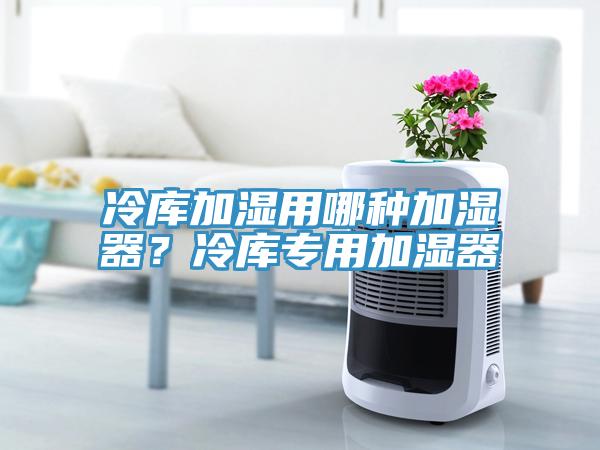 冷庫(kù)加濕用哪種加濕器？冷庫(kù)專(zhuān)用加濕器