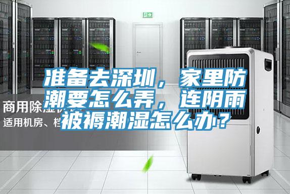 準備去深圳，家里防潮要怎么弄，連陰雨被褥潮濕怎么辦？