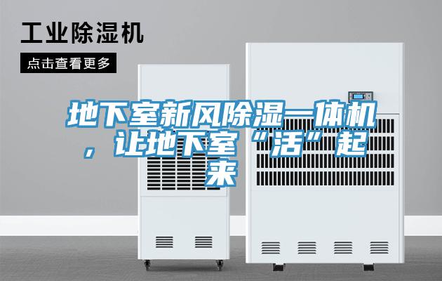 地下室新風(fēng)除濕一體機，讓地下室“活”起來