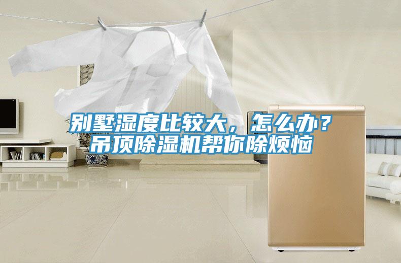 別墅濕度比較大，怎么辦？吊頂除濕機幫你除煩惱