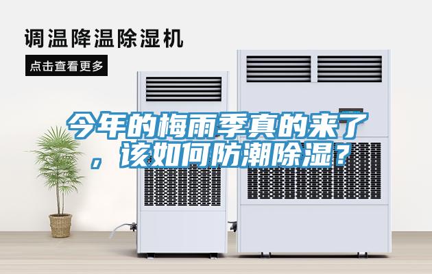 今年的梅雨季真的來(lái)了，該如何防潮除濕？
