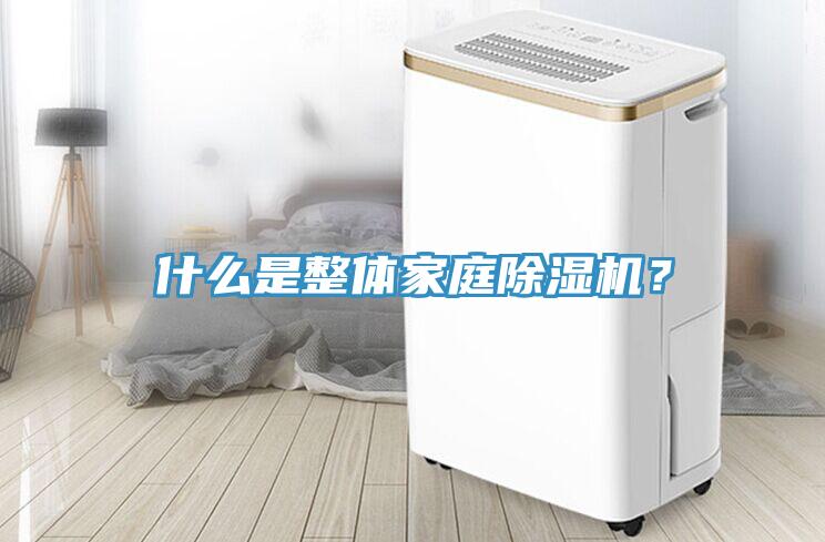 什么是整體家庭除濕機？