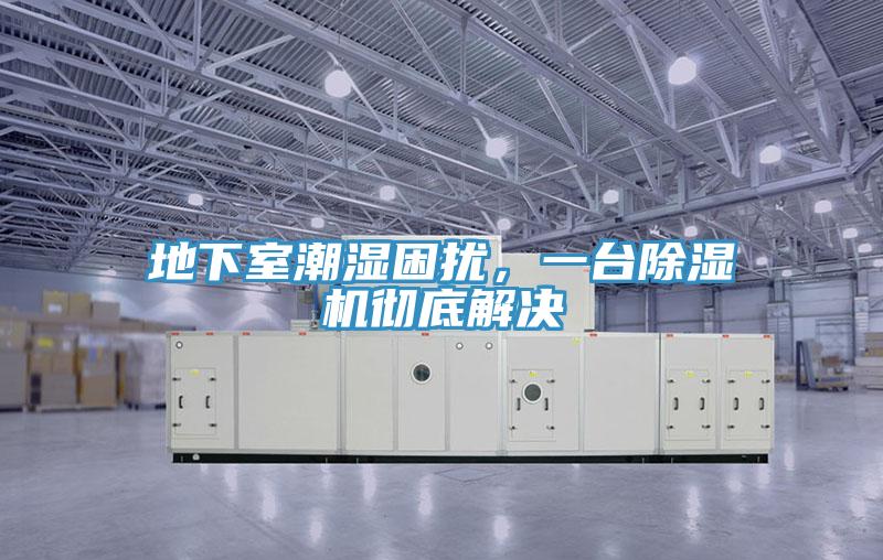地下室潮濕困擾，一臺除濕機徹底解決