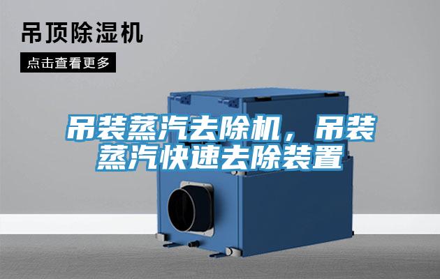 吊裝蒸汽去除機(jī)，吊裝蒸汽快速去除裝置