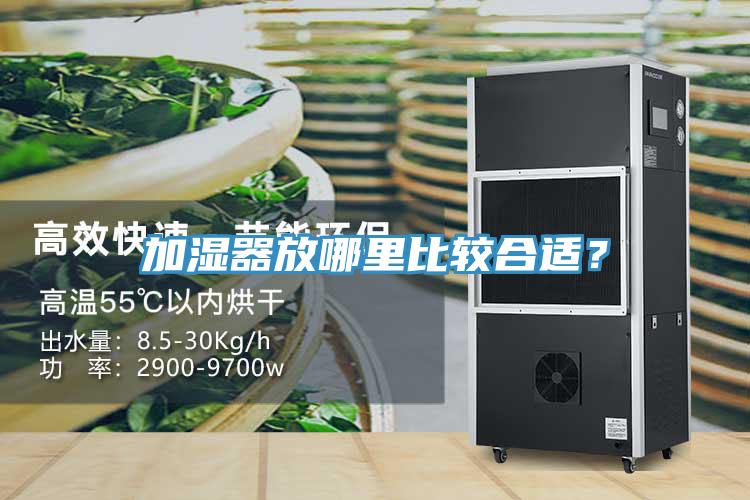 加濕器放哪里比較合適？