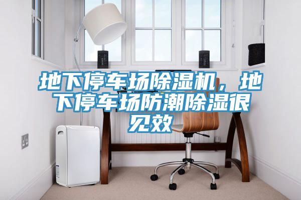 地下停車場除濕機，地下停車場防潮除濕很見效